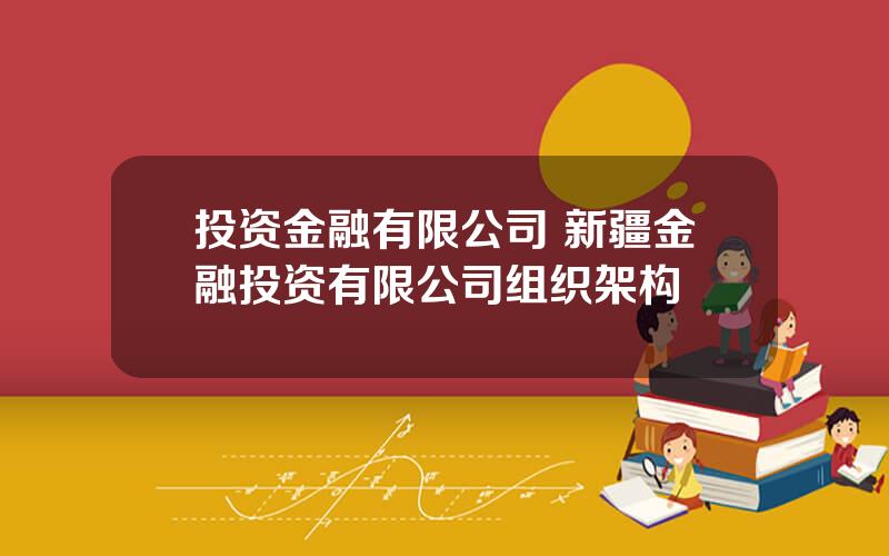投资金融有限公司 新疆金融投资有限公司组织架构